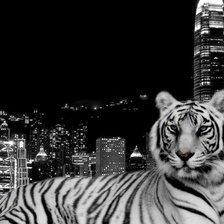 Схема вышивки «Тигр»