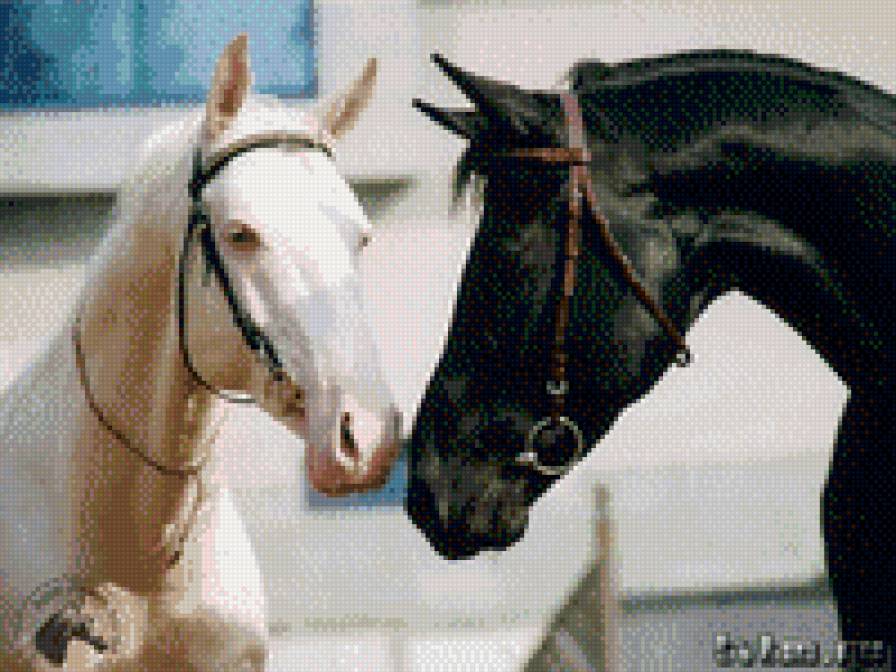 пара лошадей - лошади - предпросмотр