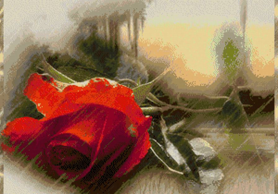 Роза - предпросмотр