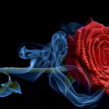 Схема вышивки «Роза»