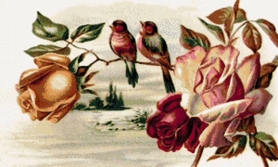 Птицы - предпросмотр