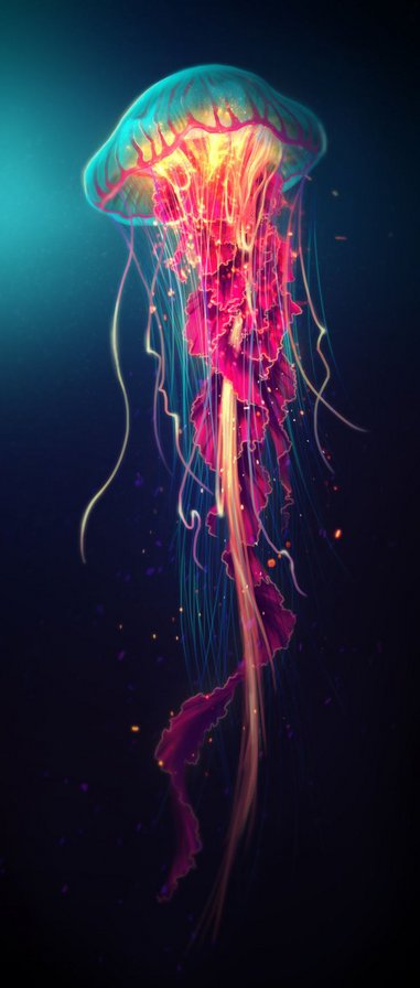 jellyfish - океан, медуза, морские жители - оригинал