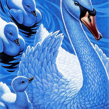 Оригинал схемы вышивки «Серия "Пернатые" Голубые лебеди"» (№984517)