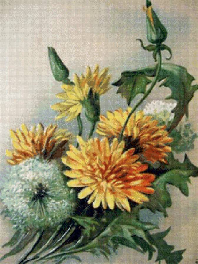 Букет с одуванчиками - букет, одуванчик, цветы - предпросмотр