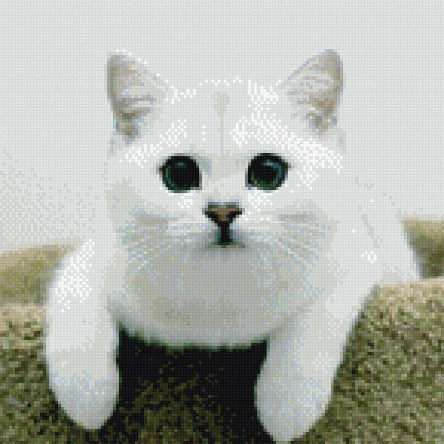 Кошка с бездонными глазами - предпросмотр