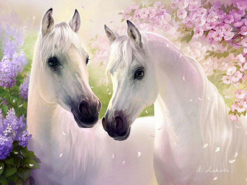 Белые лошади - красота, сирень, лошади - оригинал