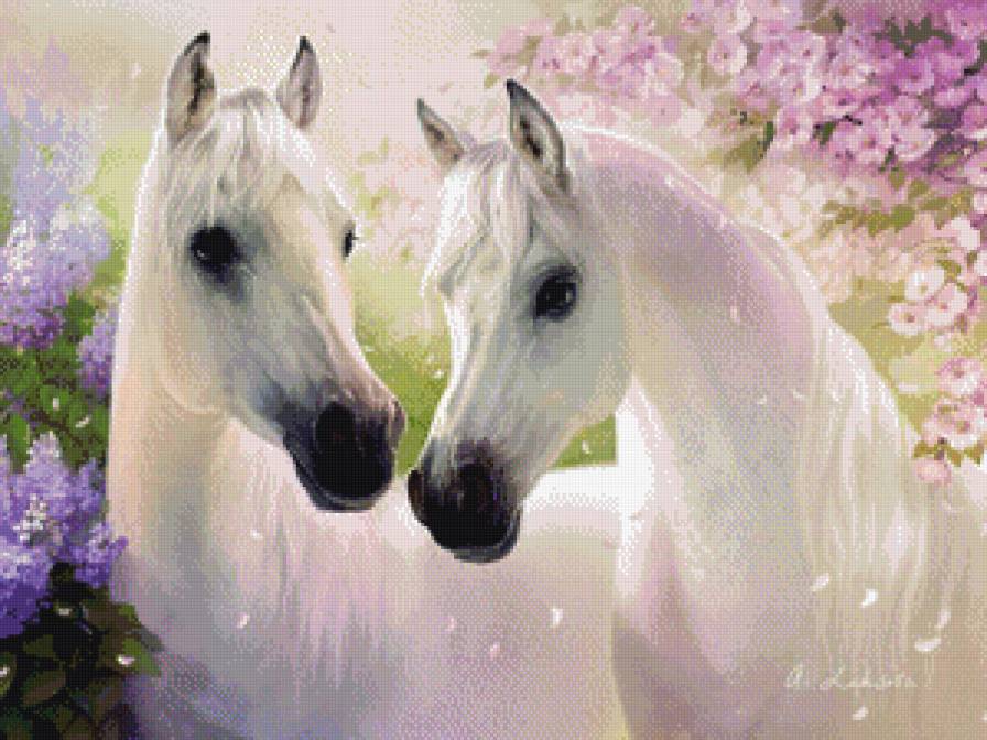 Белые лошади - лошади, красота, сирень - предпросмотр