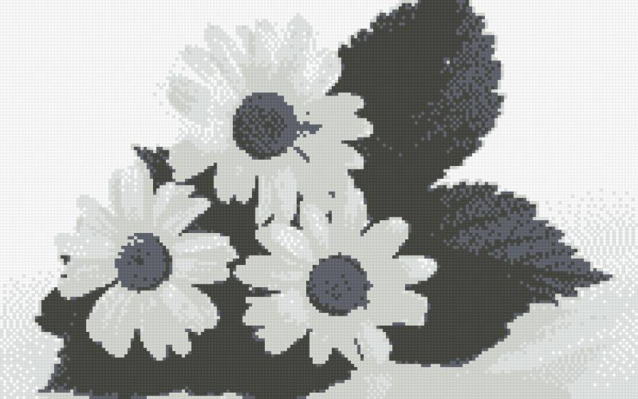 ромашки - предпросмотр