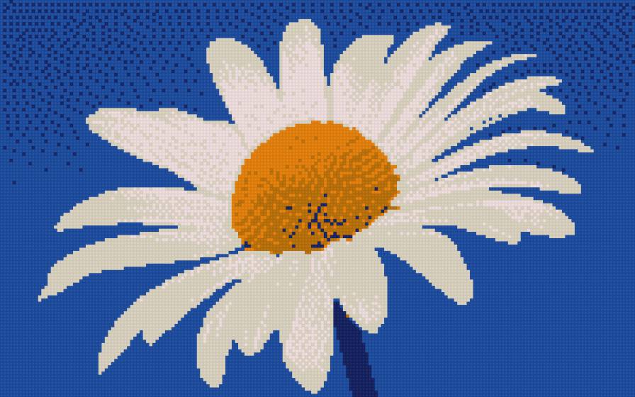 ромашка - предпросмотр