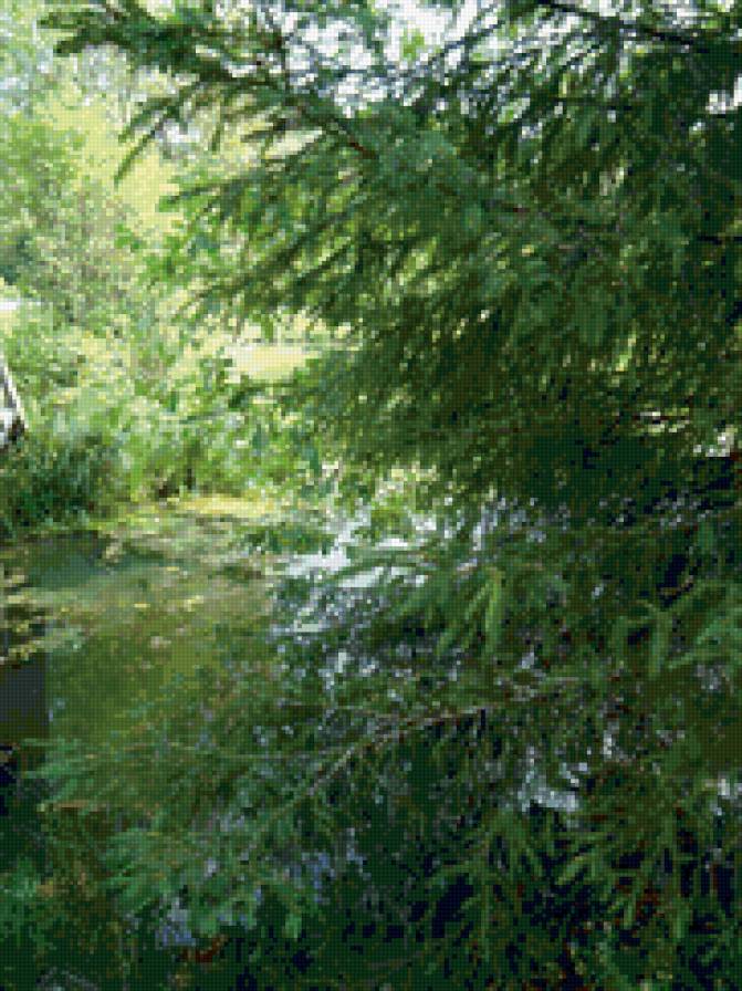 Летняя тишина - предпросмотр