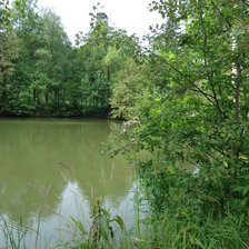 Схема вышивки «Березка у пруда»