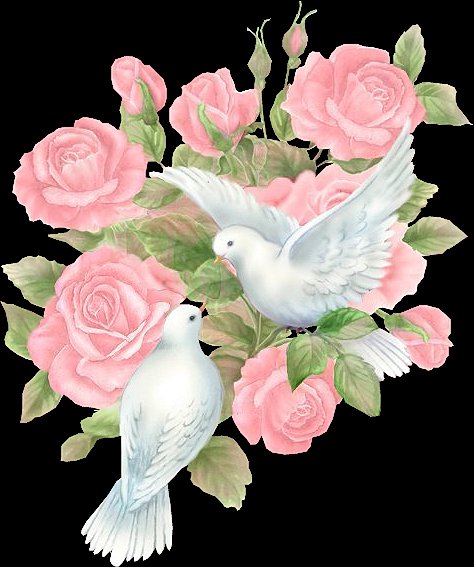 На свадьбу голуби - оригинал