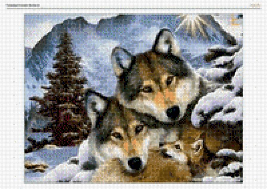 WILKI - wilki psy perros - предпросмотр