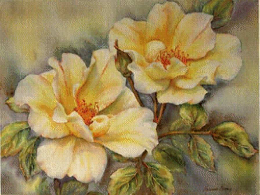 Цветущий шиповник - цветы - предпросмотр