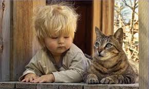 друзья - оригинал