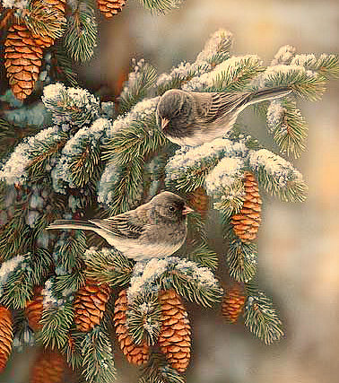 Серия "Пернатые" - ель, воробьи, снег, зима, шишки, птицы - оригинал