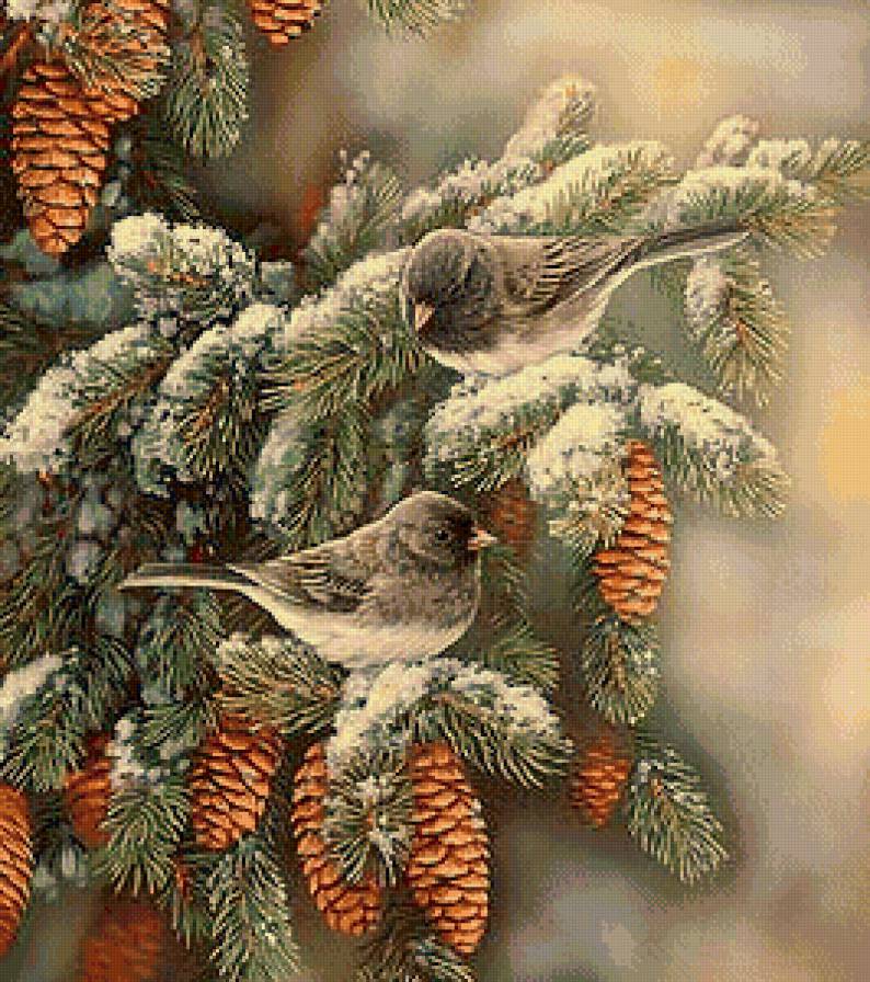 Серия "Пернатые" - птицы, ель, шишки, воробьи, снег, зима - предпросмотр