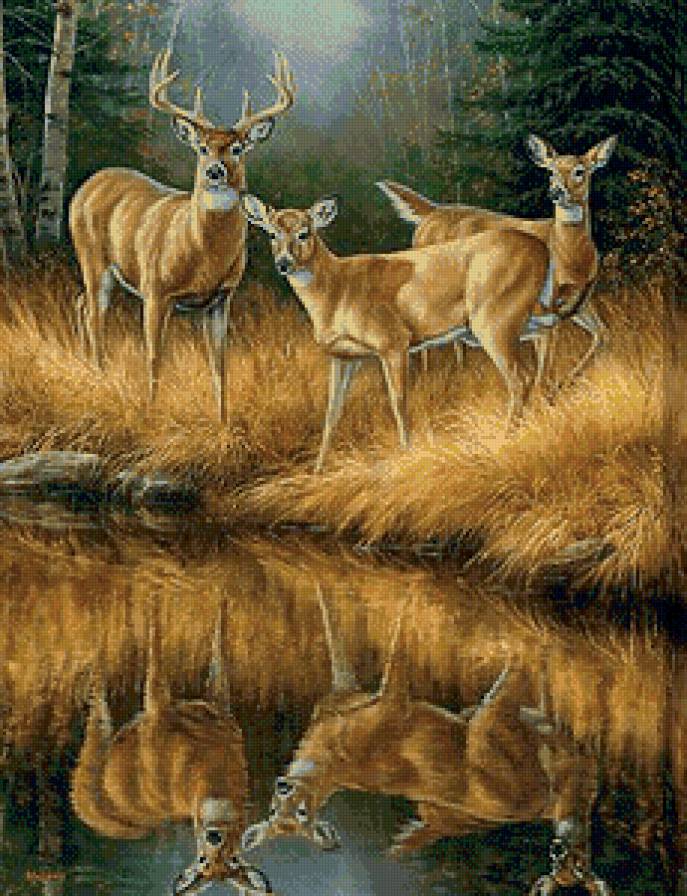 Серия "Лесные жители" - предпросмотр