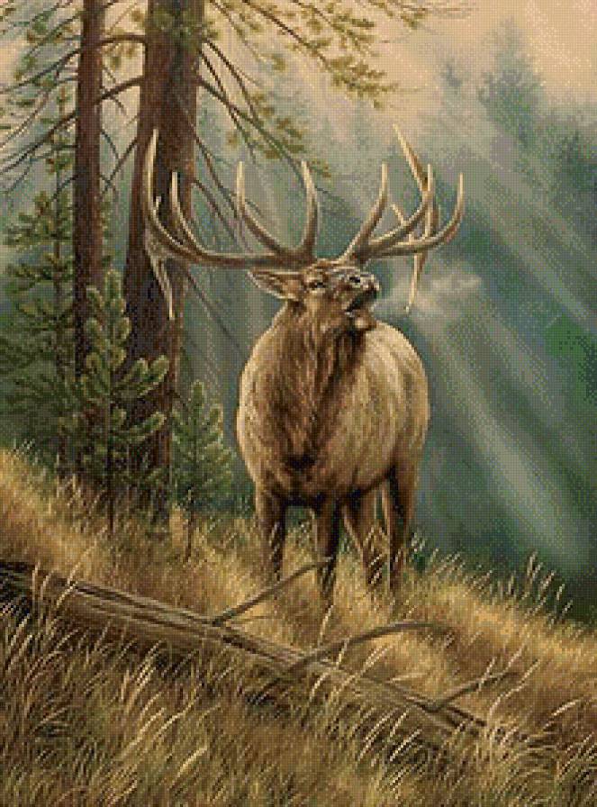 Серия "Лесные жители" - предпросмотр