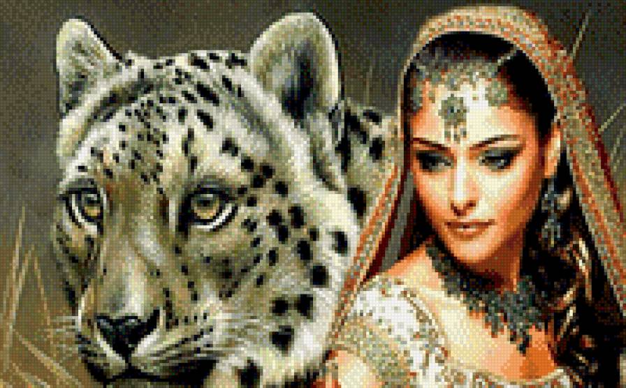 девушка и снежный барс - , хищник, девушка, красота, барс, индия - предпросмотр