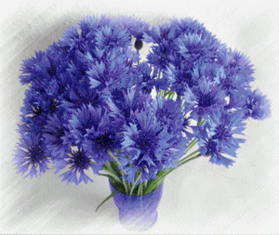 Васильки - букет, цветы, васильки - предпросмотр