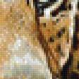 Предпросмотр схемы вышивки «леопард» (№986311)