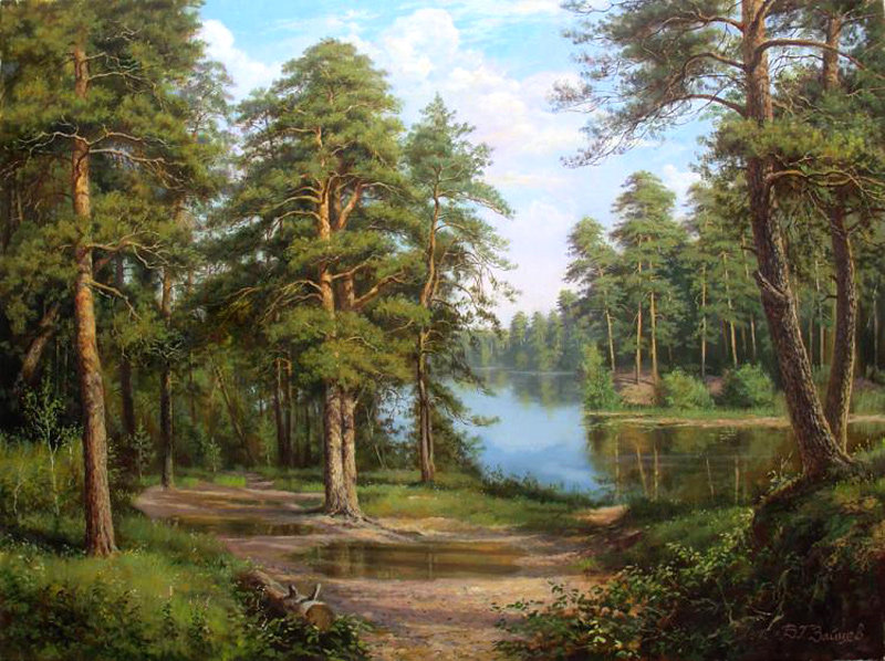 Сосны на берегу реки - природа. пруд, пейзаж, лето, сосны - оригинал