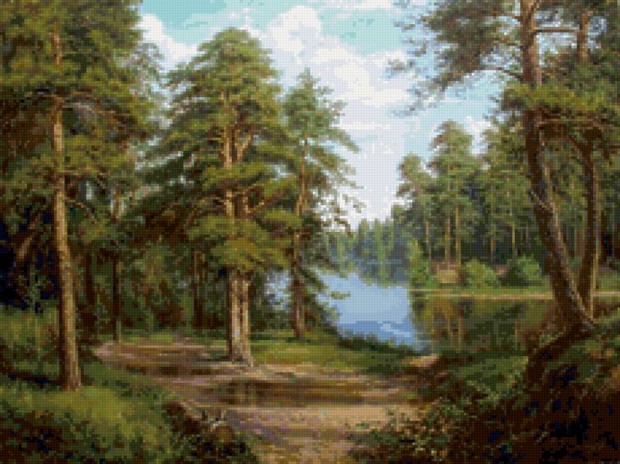 Сосны на берегу реки - пейзаж, лето, сосны, природа. пруд - предпросмотр