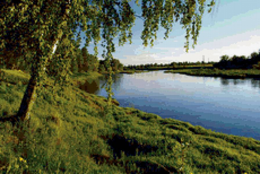 Березка у пруда - березы, природа. пруд, пейзаж, лето - предпросмотр