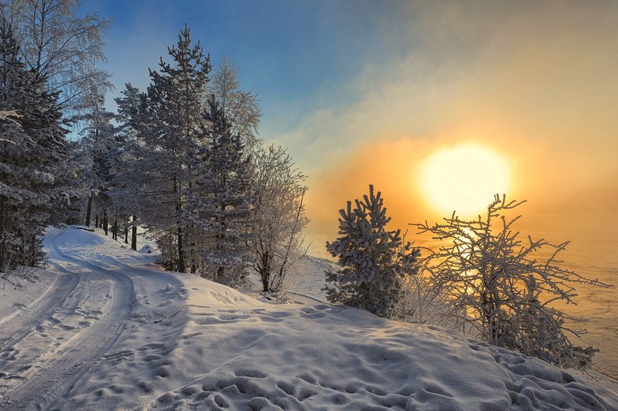 Хрупепя тишина - зима, природа, солнце - оригинал