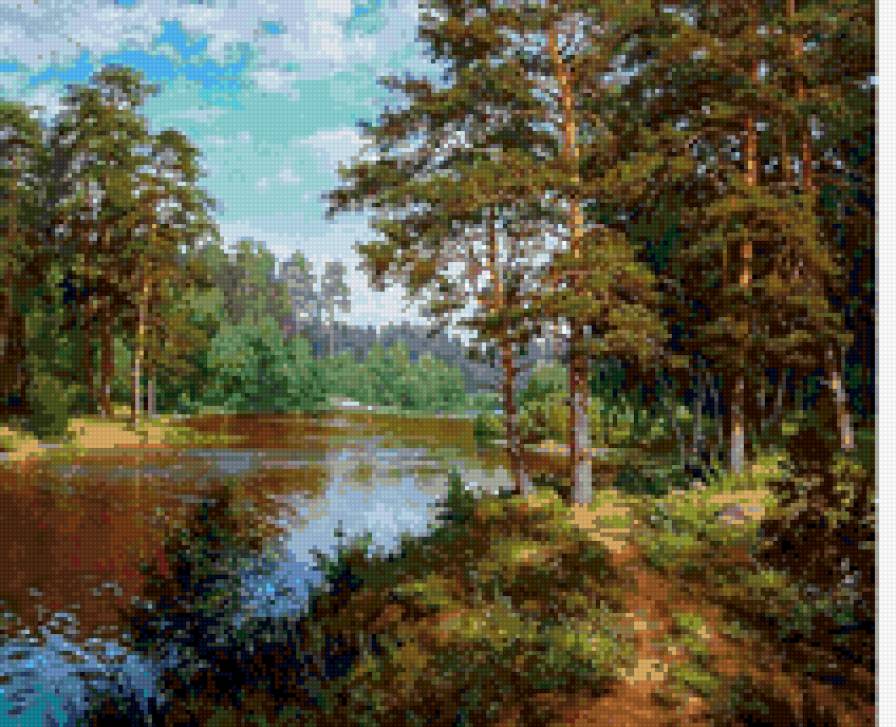 Сосны на берегу реки - природа. пруд, лето, пейзаж, сосны - предпросмотр