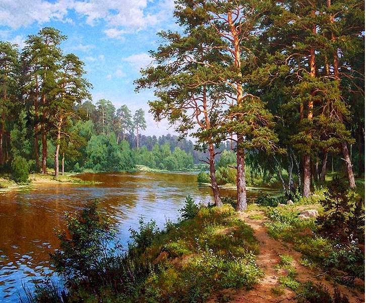 Сосны на берегу реки - природа. пруд, пейзаж, сосны, лето - оригинал