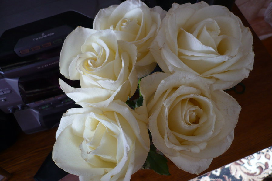 Розы белые - оригинал