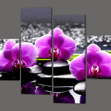полиптих орхидеи