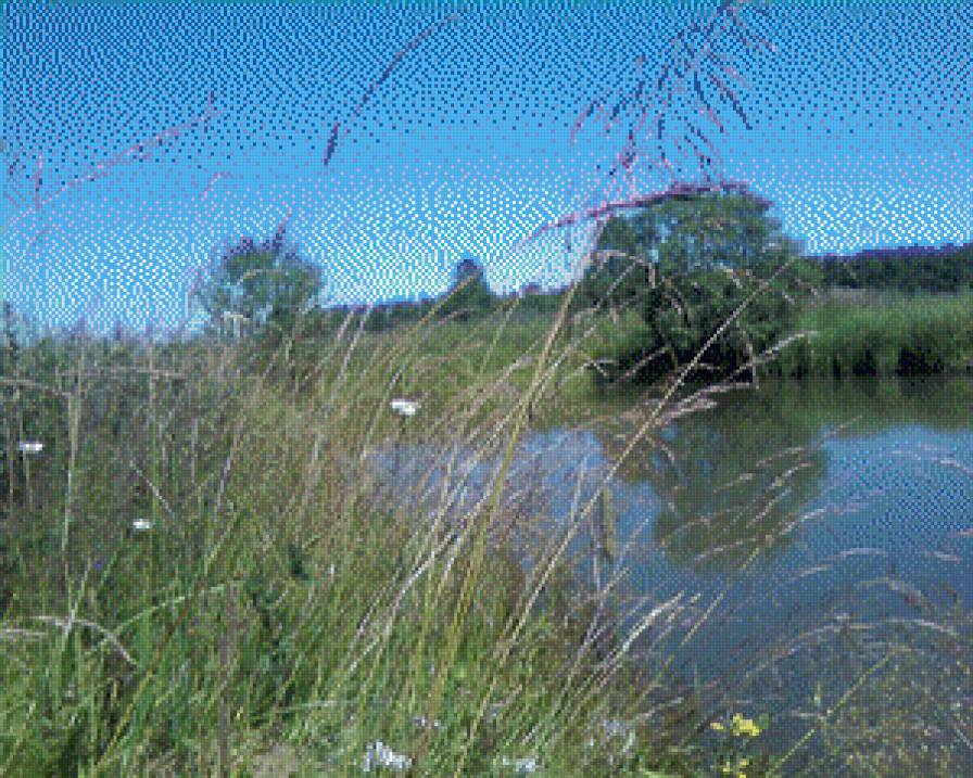 возле дома - природа - предпросмотр