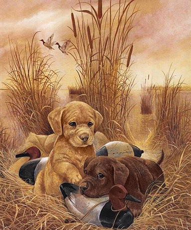 Серия "Домашние любимцы" Маленькие охотники" - оригинал