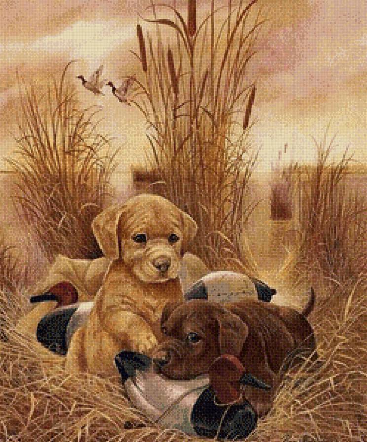 Серия "Домашние любимцы" Маленькие охотники" - предпросмотр