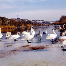 Схема вышивки «Южноукраинск 2»