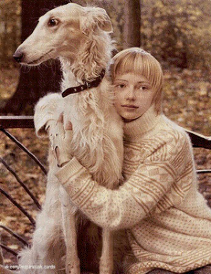 Самая изящная  собака - животное, дружба, собака, люди - предпросмотр