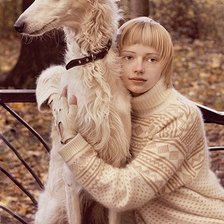 Схема вышивки «Самая изящная  собака»