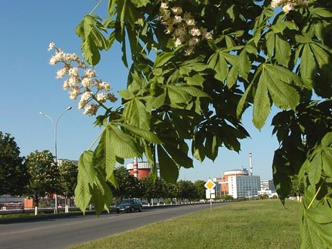 Южноукраинск 7 - города - оригинал