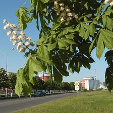 Южноукраинск 7