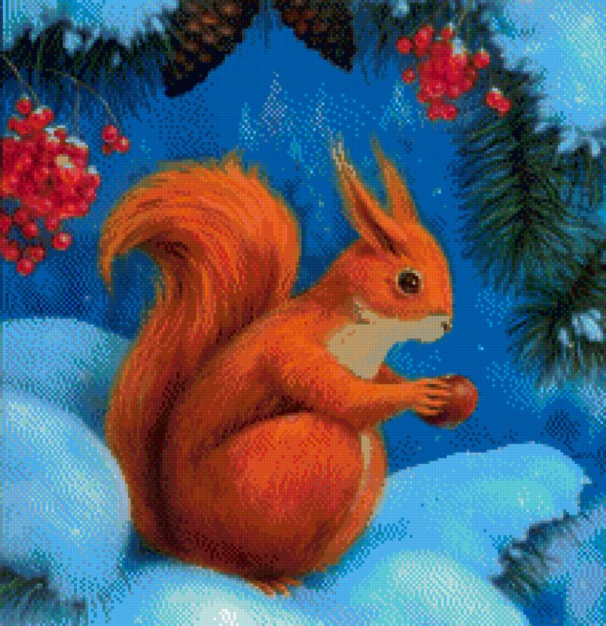 белка - предпросмотр