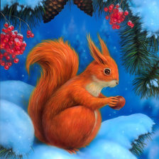 Схема вышивки «белка»