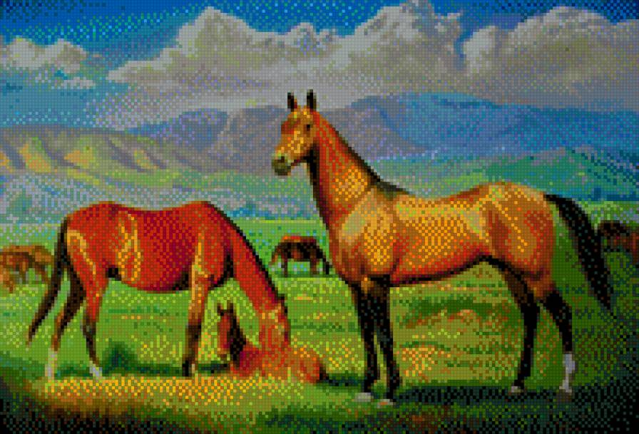 Ахалтекинские лошади - предпросмотр