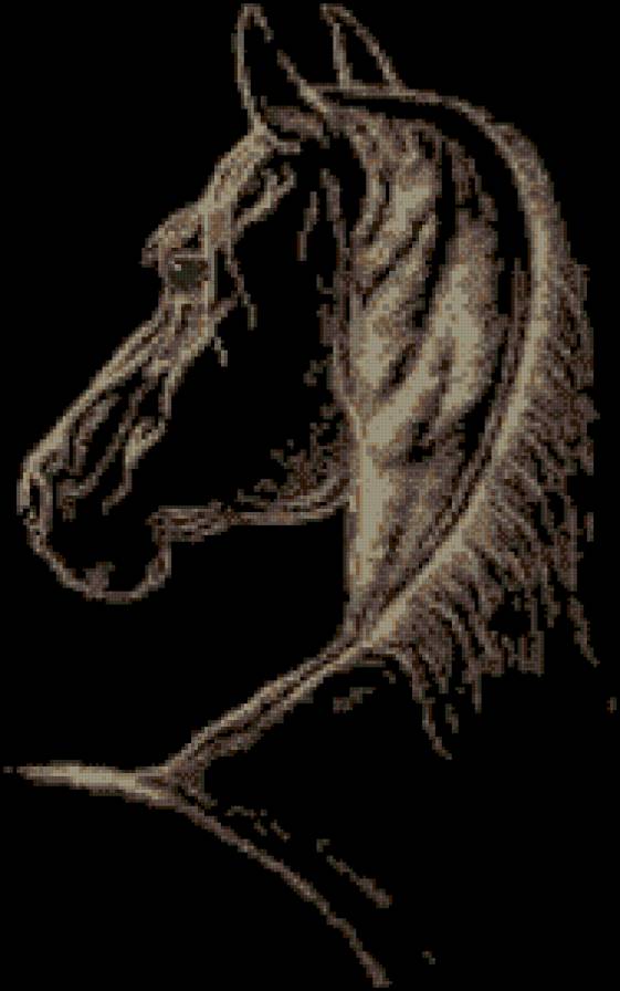 гнедой конь - глаз, черный цвет, конь, животное - предпросмотр