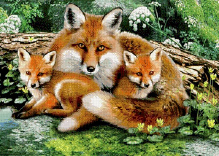 в мире животных - пейзаж, животные - предпросмотр