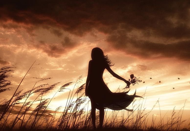 ожидание - цветы, одна, ожидание, силуэт, поле, девушка - оригинал