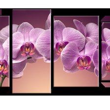 Оригинал схемы вышивки «орхидея» (№987917)