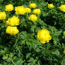 Схема вышивки «№987933»